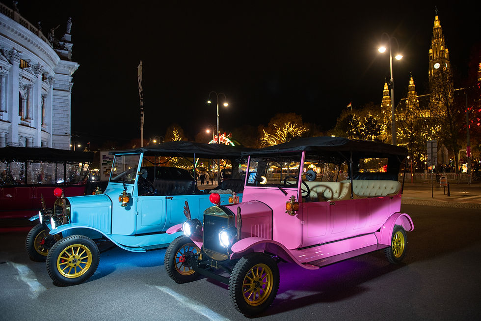 Vienna christmas market tour