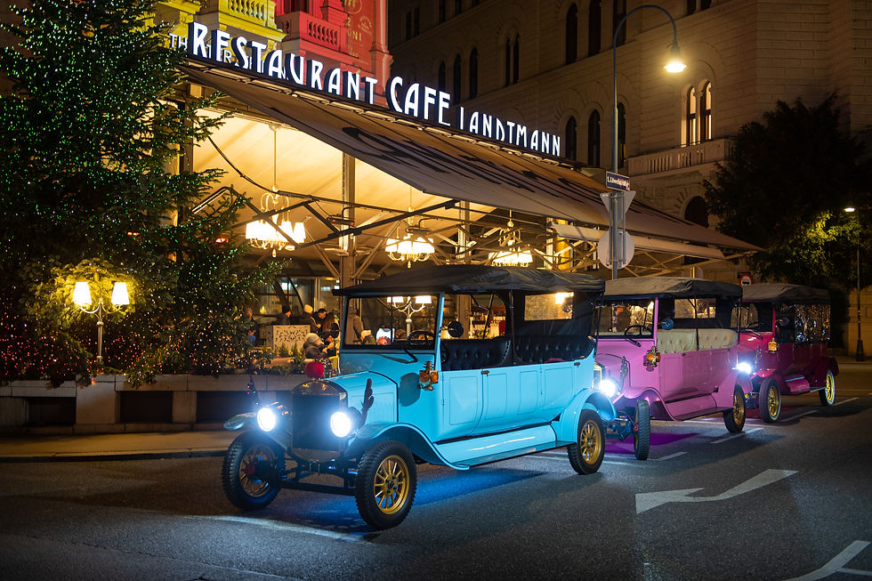 Vienna christmas market tour