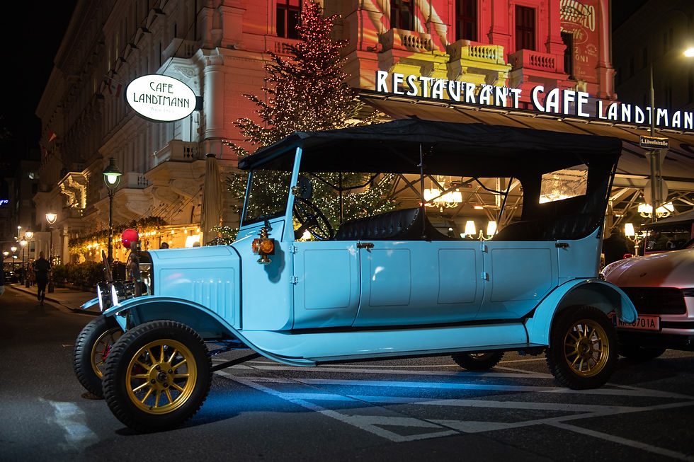 Vienna christmas market tour