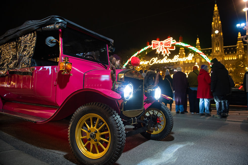 Vienna christmas market tour