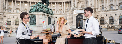 Royal e car tours