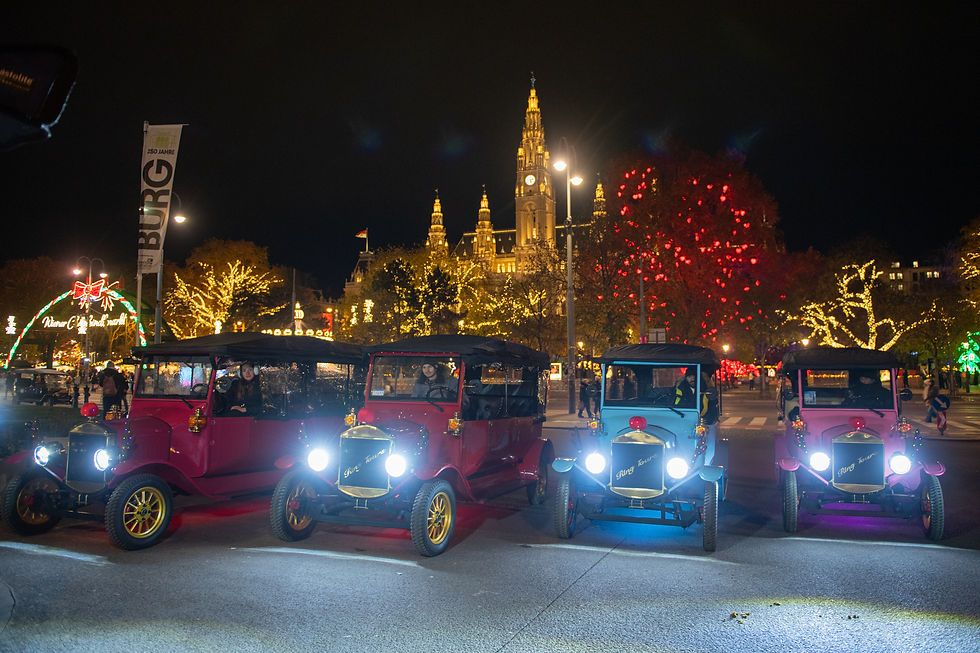 Vienna christmas market tour