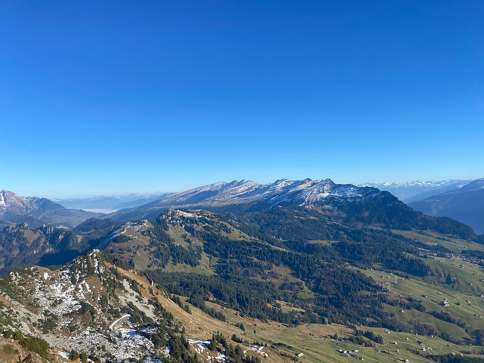 IMG_1543