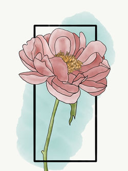 Peony- First iPad drawing