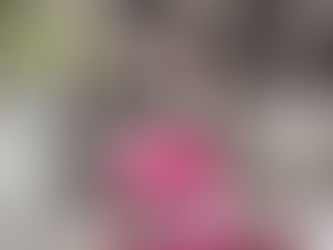 🎄💖 Exciting News, Girls! Christmas Is Coming, and our Beyond Fabulous Candle is here! We honestly can’t believe it’s that time of year again — twinkly lights, hot chocolate, cosy