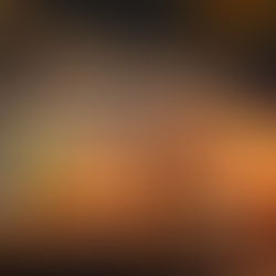 10月のスケジュール