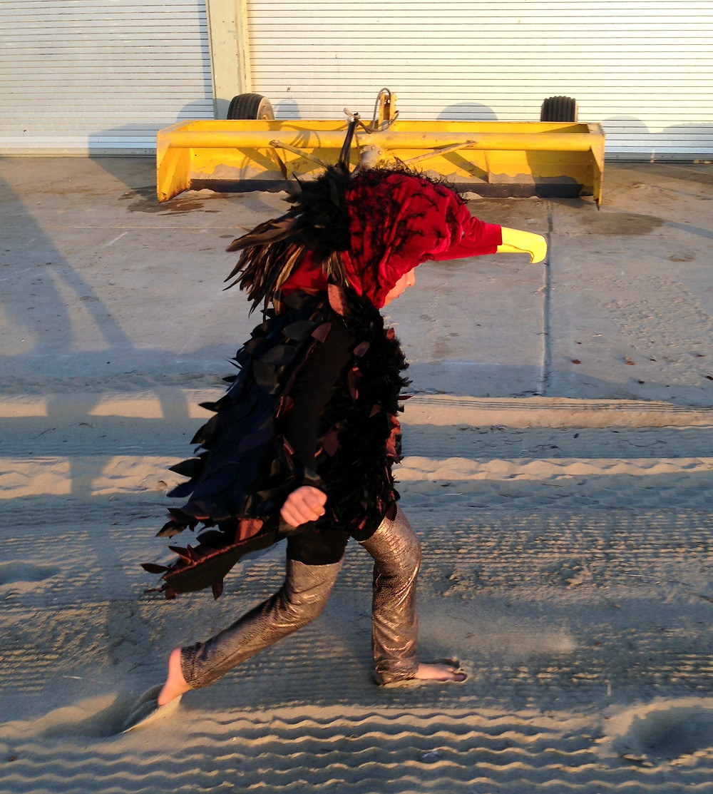 Turkey vulture costume