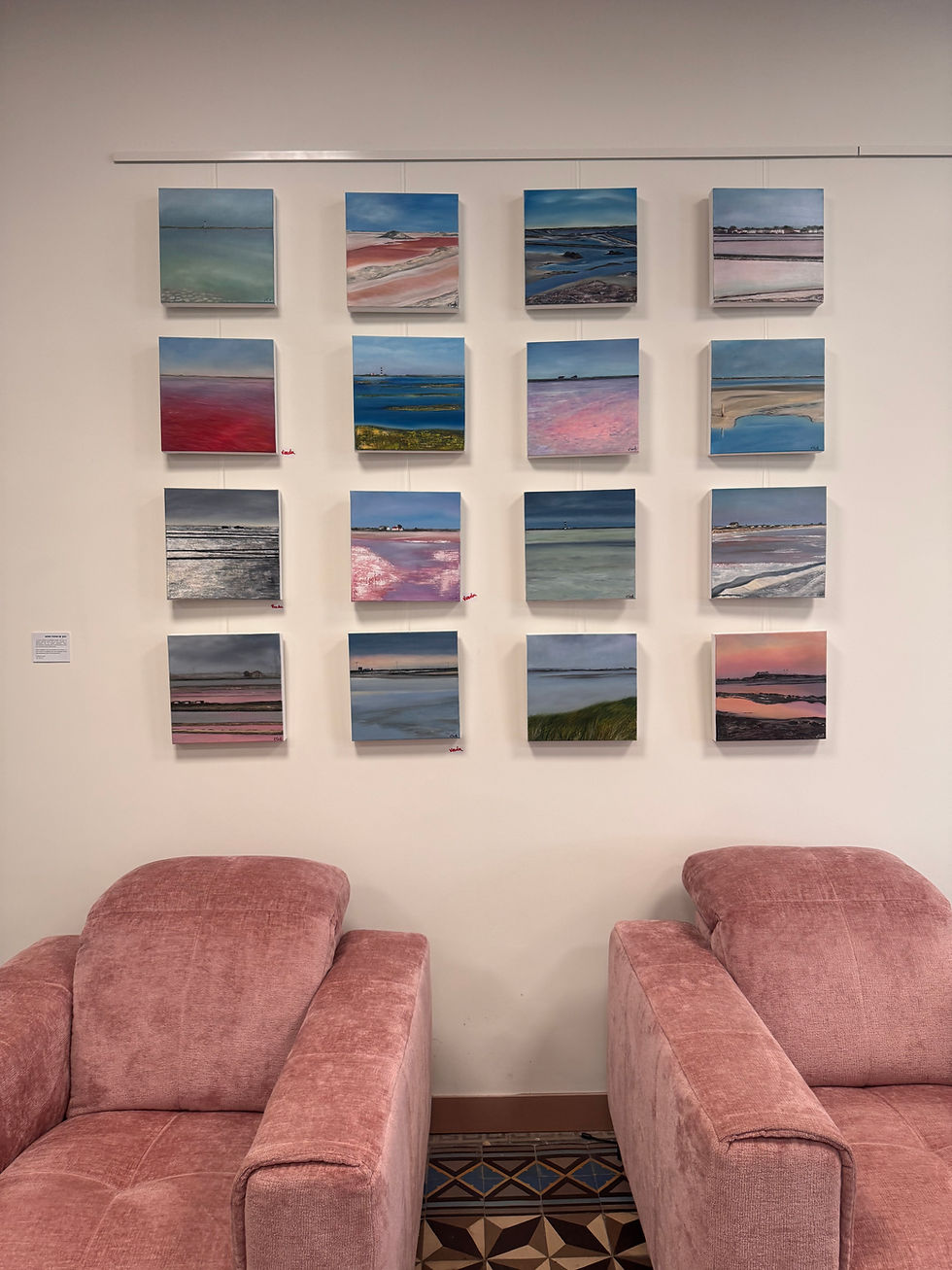Entre Ciel et Sel - Exposition par Virginie Trinh