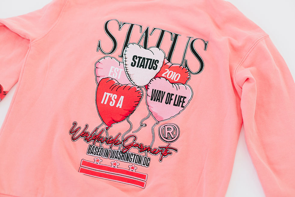 Thumbnail: Status Apparel DC "Way of Life" Spread Love Embroidered Premium Hoodie