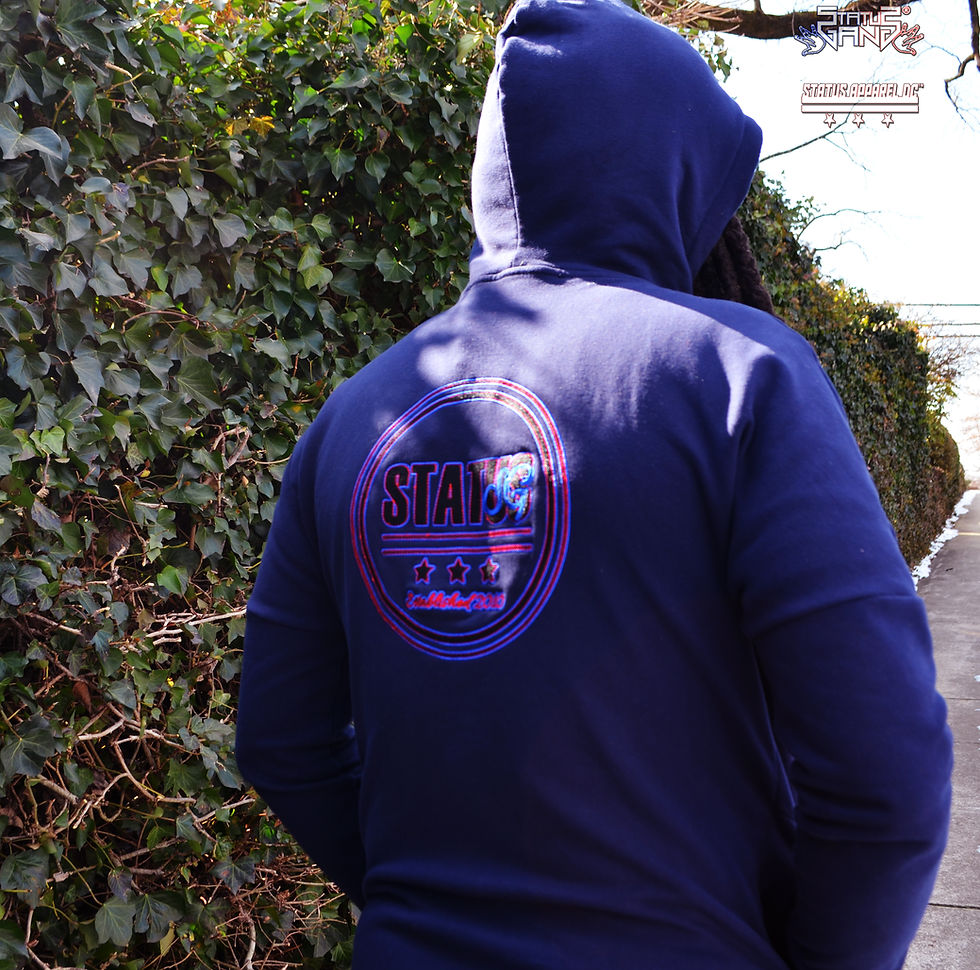 Thumbnail: Status Apparel DC "SG Established" Fleece Hoodie