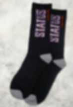 Status Staple Socks - Monthly Mix