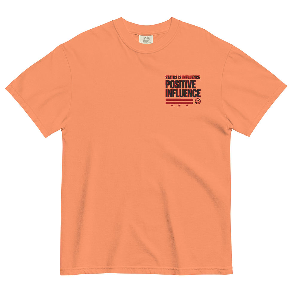 Status Apparel DC Positive Influence Embroidered Heavyweight Tee