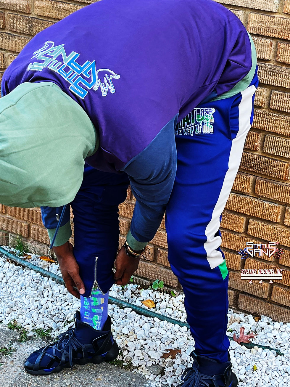 Thumbnail: Status Apparel DC "Dream Camo" Way of Life Track Pants