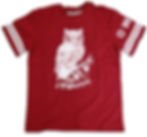 Status Apparel DC "SG Established" TU Owls Premium Striped Jersey