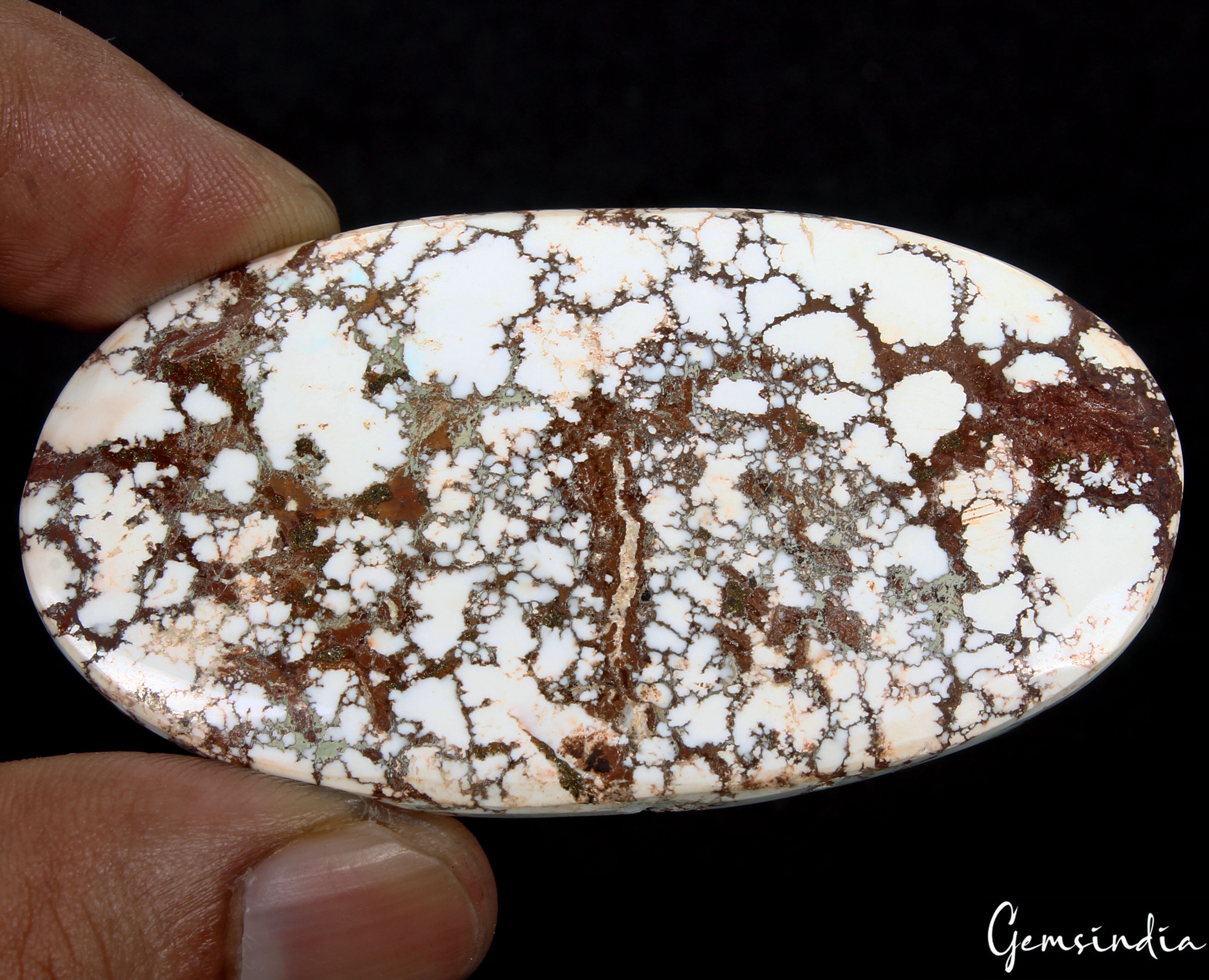 194.40 Ct Natural Untreated White Buffalo Turquoise Oval Cabochon Loose Gemstone