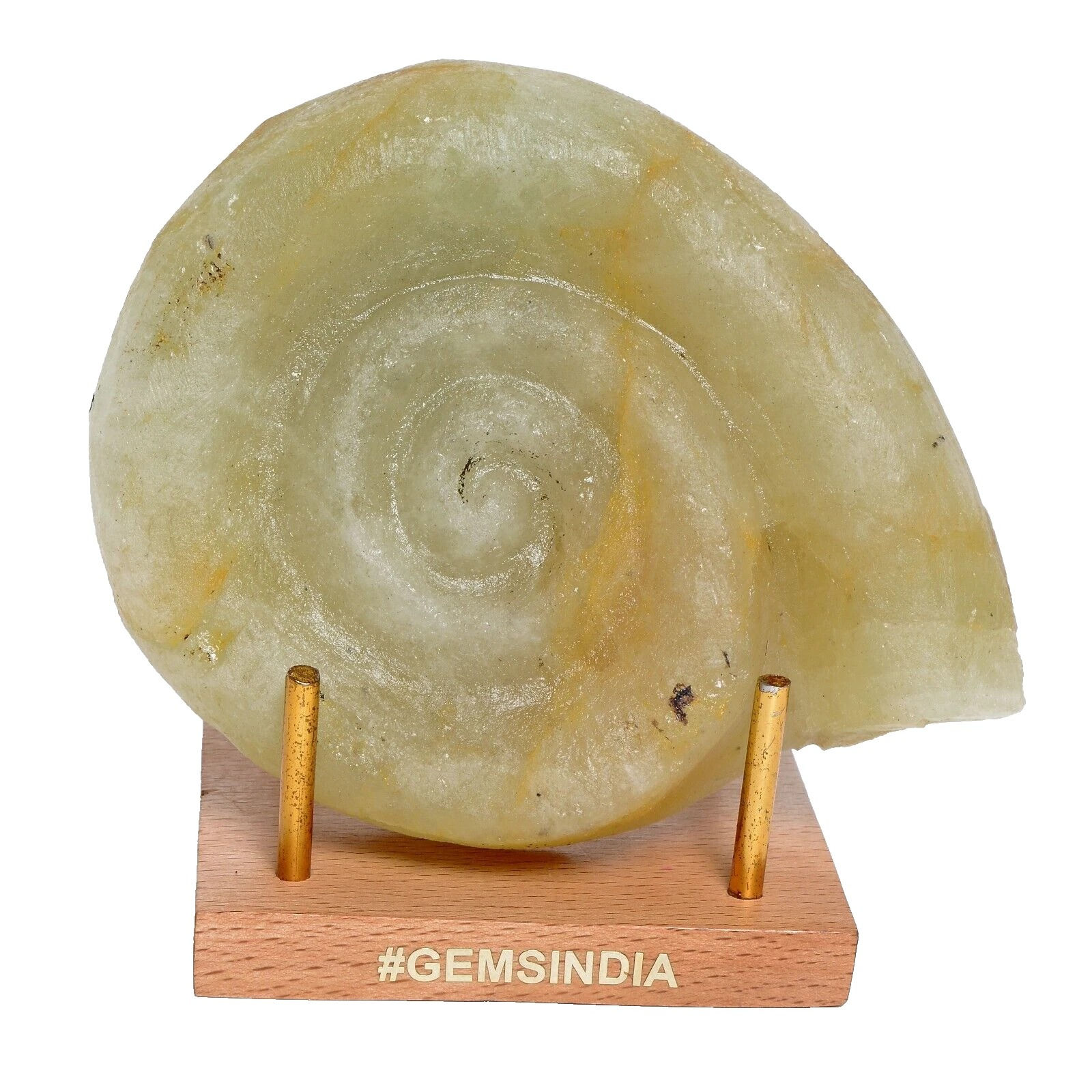 3850 Ct Natural Untreated Ammonite Aquamarine Cerved Uncut Rough Huge Rare Gem