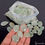 Миниатюра: 1500 Cts Natural Green Aventurine Mix Cabochon Loose Jewelry Gems Wholesale Lot
