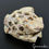 Thumbnail: 715 Cts Hand Carved Huge Soap Stone Frog-Mother with Baby Frog Inside Sculpture