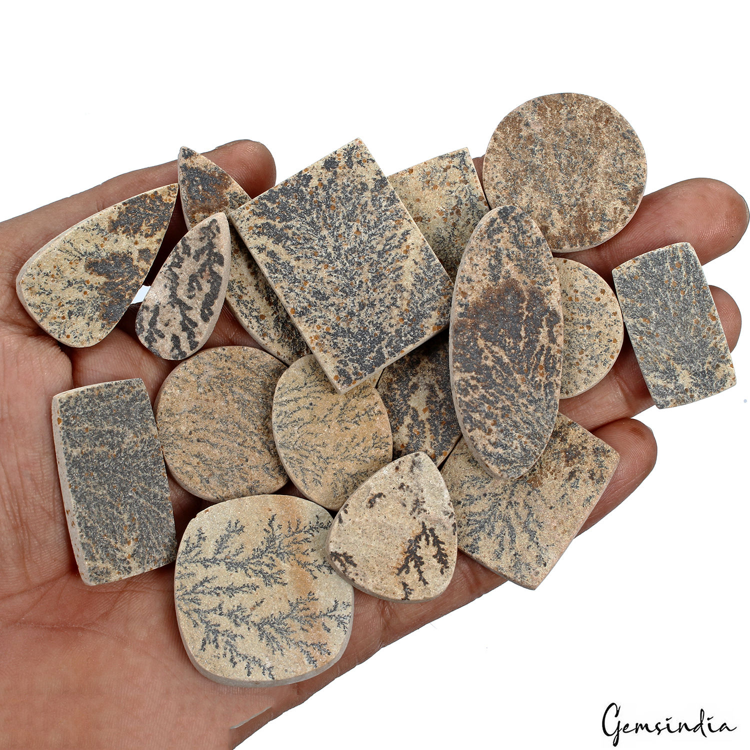 480 Ct Natural Untreated Dendrite Psilomelane Mix Cut Tree Agate Loose Gemstones