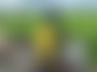 Membangun Optimisme Masyarakat Bojonegoro dalam Mengatasi Ketersediaan Air