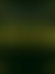 In 2026 Everything is shiny and new! Yearly Astrology Forecast.