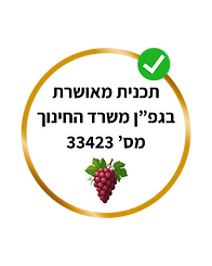 תכנית.png
