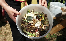 jardin potager bien être entreprise création animation de jardins potagers compost