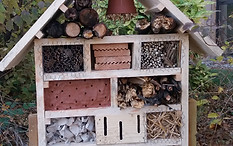 jardin potager bien être entreprise création animation de jardins potagers hotel a insecte