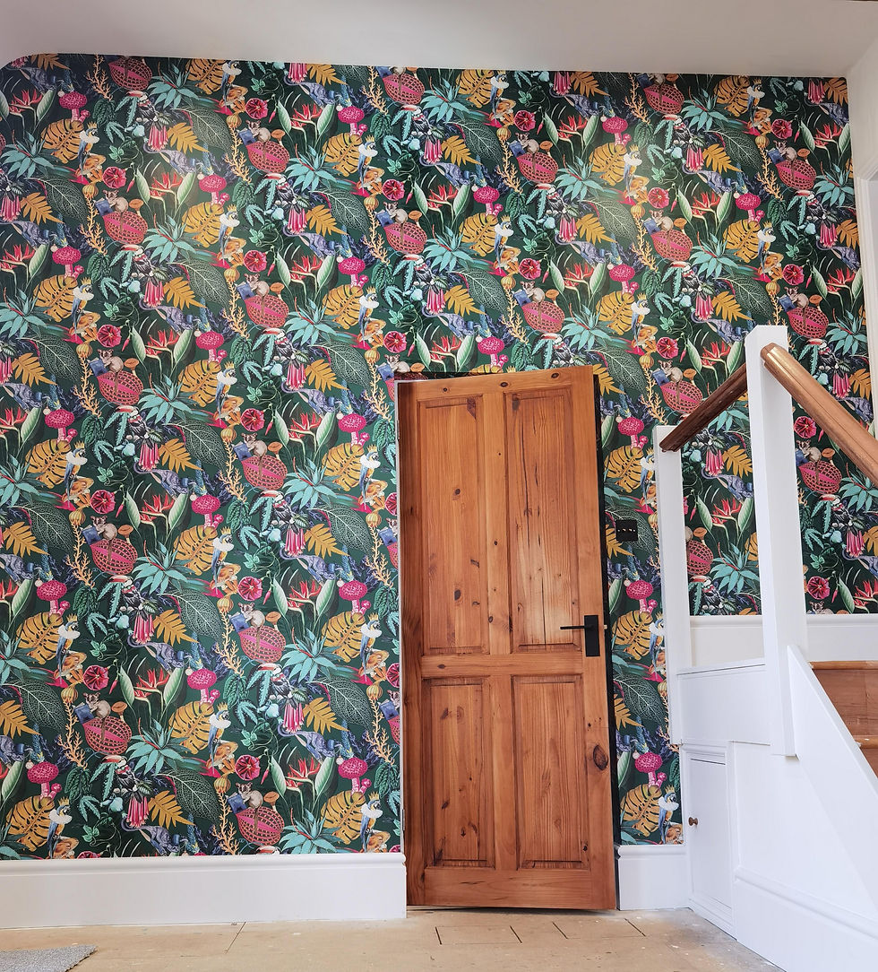 IMG_20230905_120243_edit_207838990893286