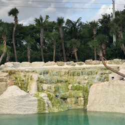 #waterfall #RedlandsRockwork #redlandsla