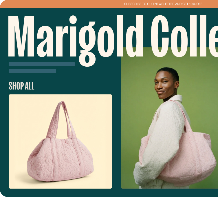 Domain transfer confirmation message and fashion ecomm website by Wix displayed alongside.