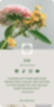Template for a Hopp website.