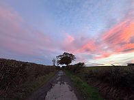 IMG_7227.jpeg