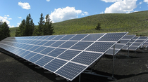 ¿Paneles solares… compuestos por bacterias?