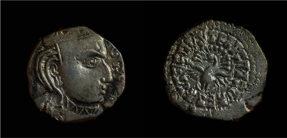 A silver drachm of the Gupta emperor Skandagupta (c. 455–467 CE). Obverse: crowned bust of the king; reverse: a display peacock