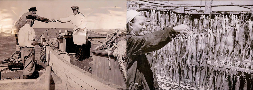 Until the 1960s the Aral Sea supported fishing and shipping, providing livelihood for more than 40,000 people (source: the Aral Sea Museum)