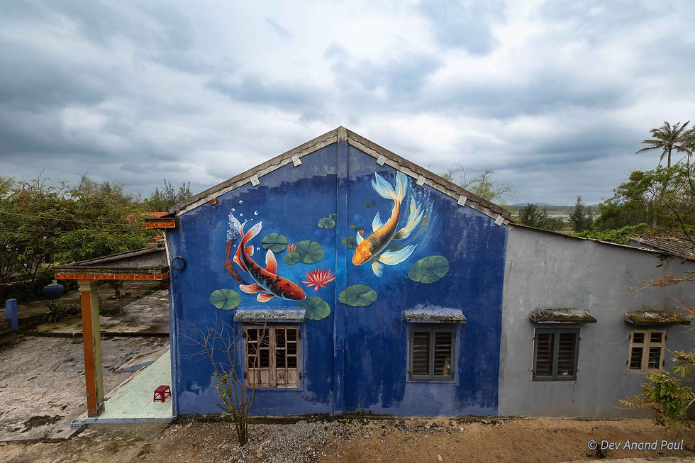 Two koi fish swimming among lotus blossoms