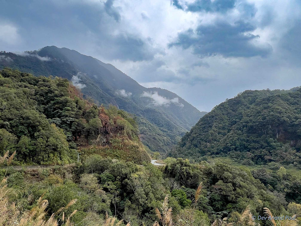 Walong—the terrain changes with every turn