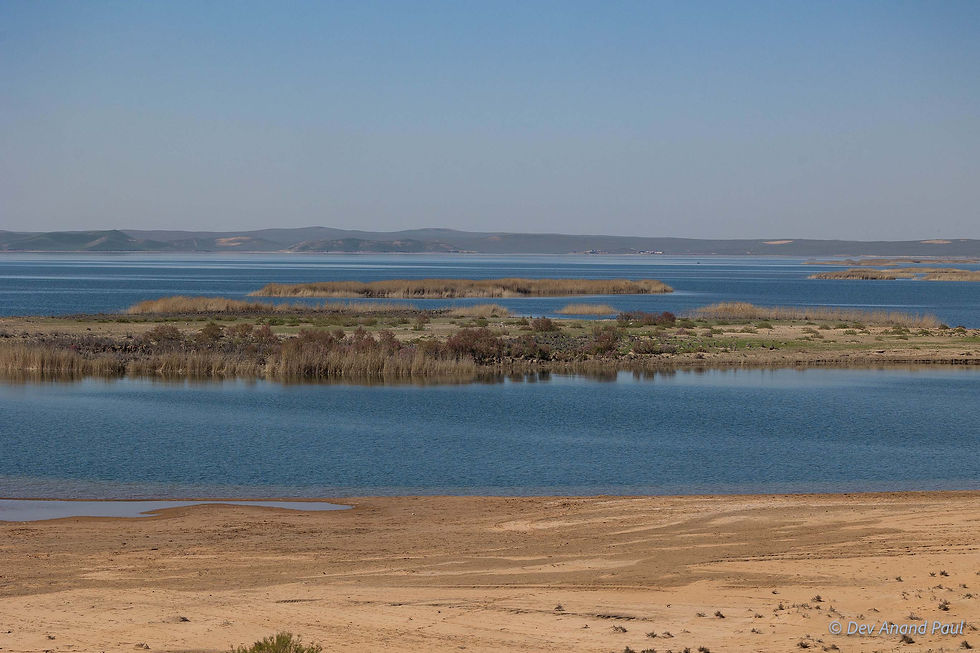 Wetland areas forming along the Aydarkul Lake edge