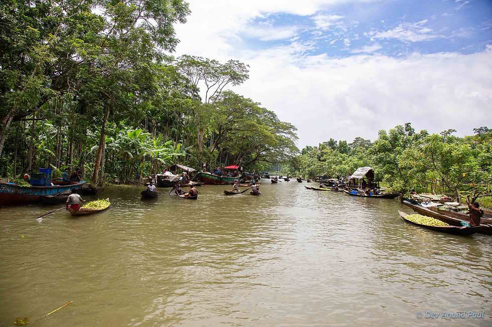 Boats trading guavas at the floating market in Jhalakathi, Bangladesh