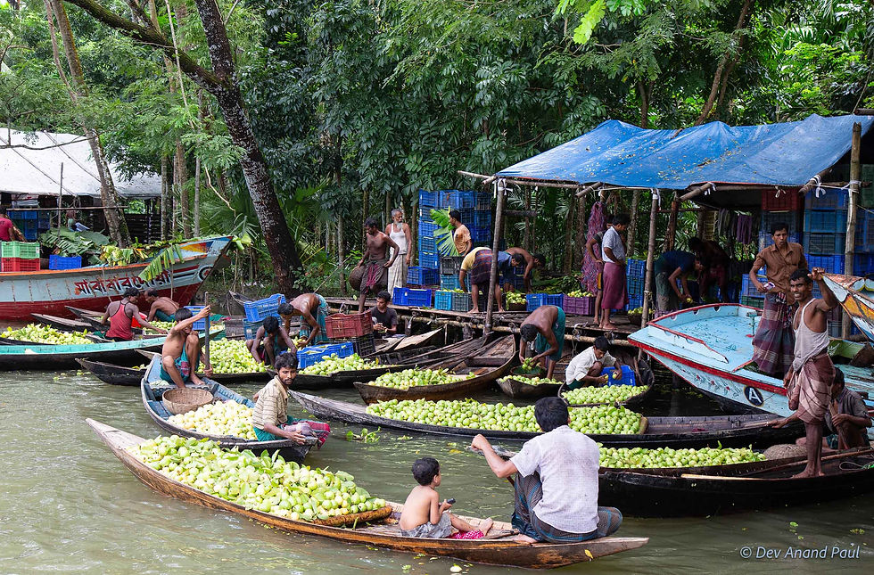 Buyers and sellers transferring guavas between boats at Bhimruli Floating Guava Market