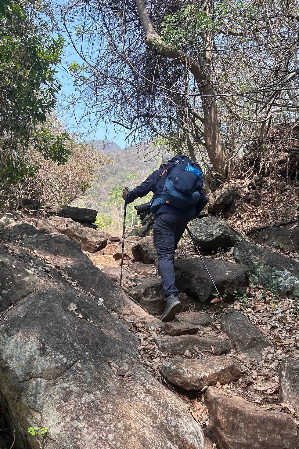 Step by step to the top