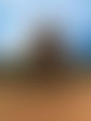 My Son Sanctuary:  The Cham Temples of Vietnam and Their Indian Connection