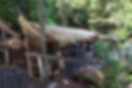 A Penan hut