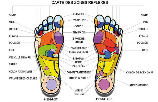 Zones de massage plantaire