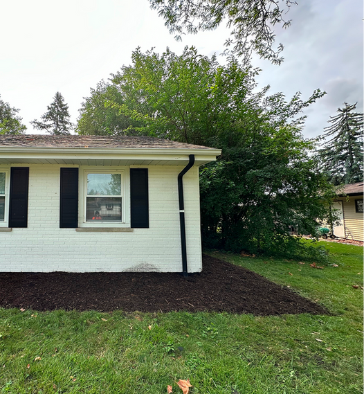 Freshly cut grass with new mulch alongside building.