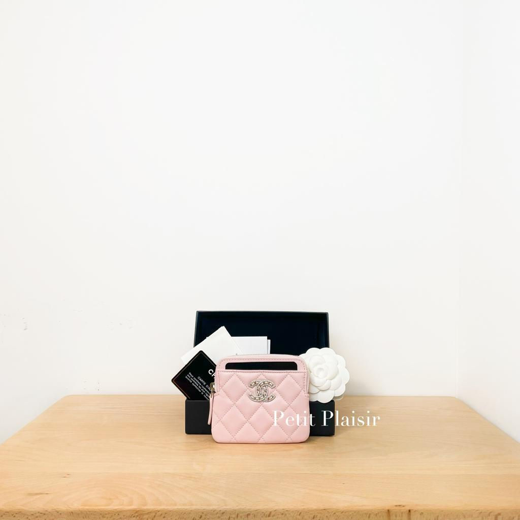 Chanel 19 Zipped Coin Purse