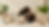 Gemini_Generated_Image_wljdq6wljdq6wljd.png