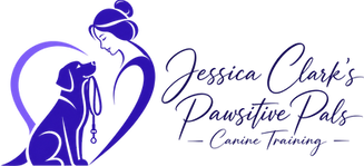 Transparent Logo.png