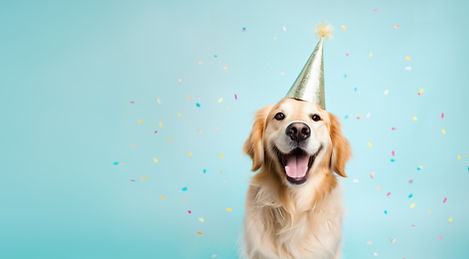 shutterstock_2344307633.jpg